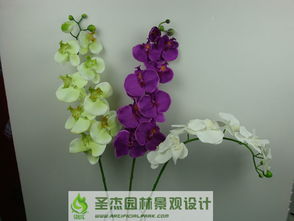 從創(chuàng)意到景觀 沈陽仿真花產業(yè)的全面供應與藝術實踐